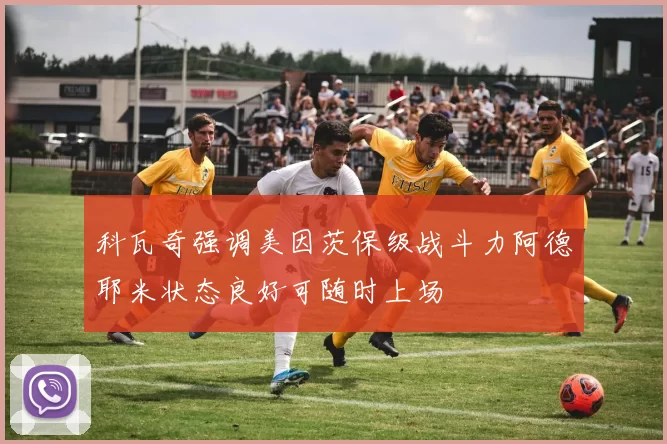科瓦奇强调美因茨保级战斗力阿德耶米状态良好可随时上场